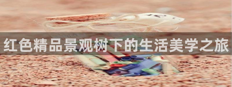 gg新宝创新