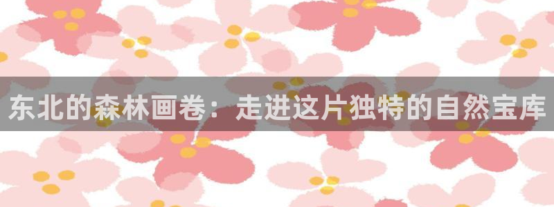 新宝gg公司