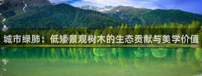 新宝gg如何代理