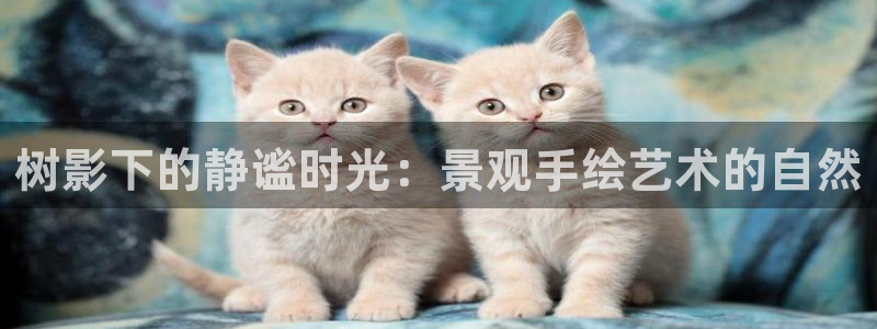 新宝gg测速登录