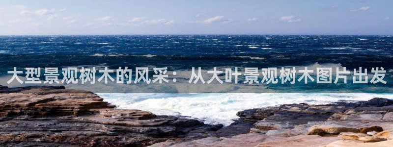 新宝gg代理登录