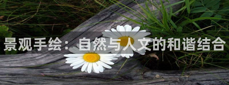 新宝gg 平台怎么样