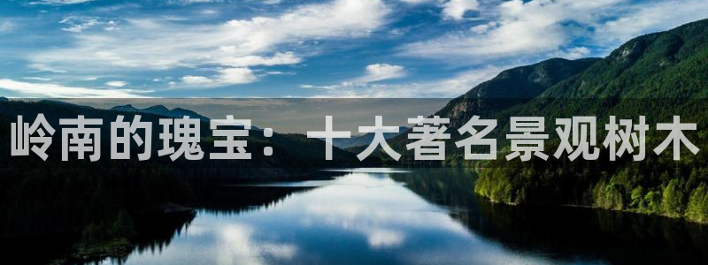 新宝gg登陆新