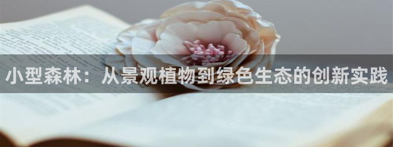 新宝gg手机登录