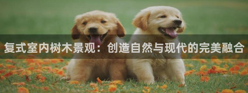新宝皇冠gg