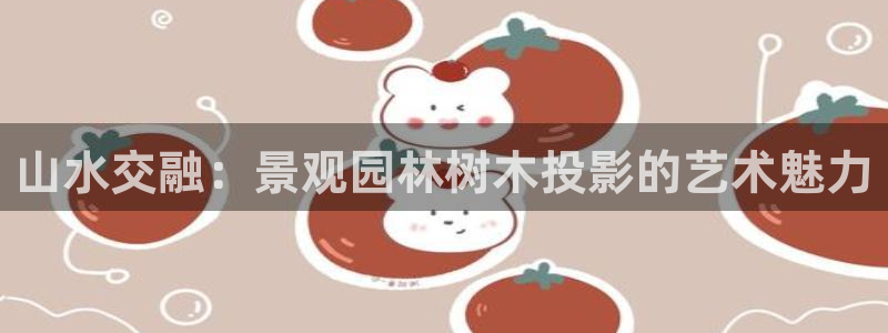 新宝gg登录宝