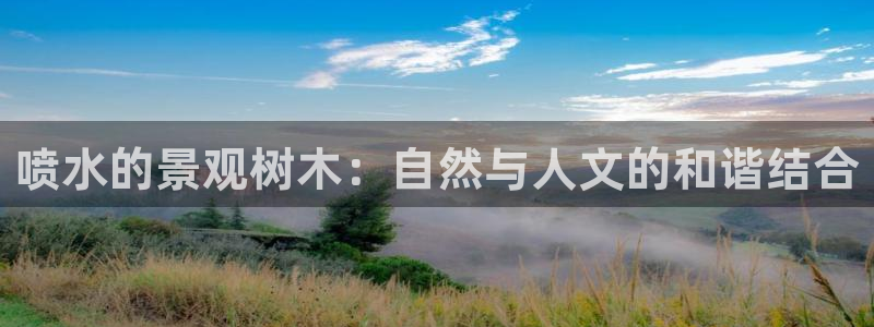 新宝GG娱乐下载