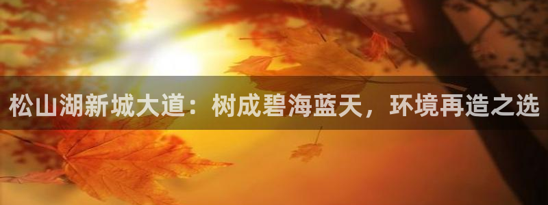 新宝六与新宝gg