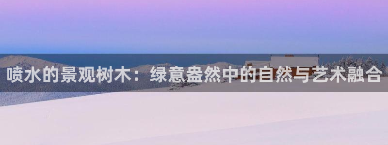 新宝gg平台