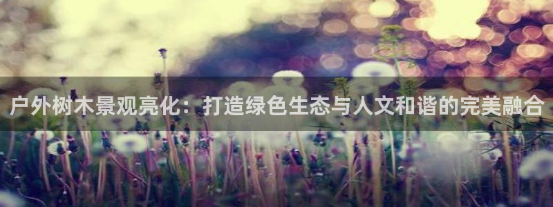 新宝GG反点