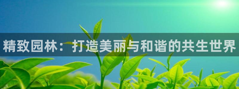 太阳gg和新宝gg