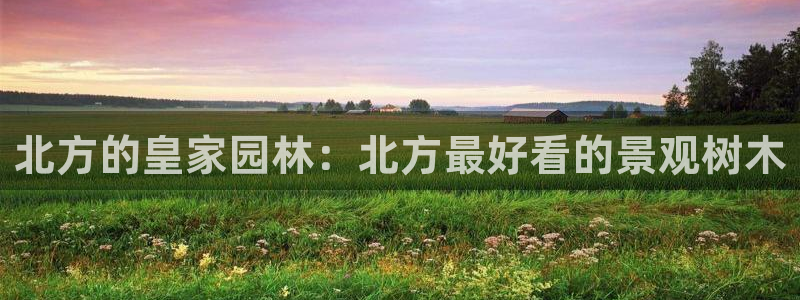 j新宝GG