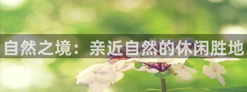 新宝gg系列