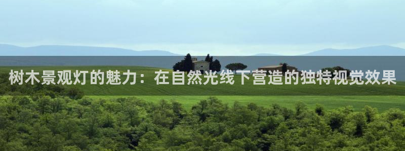 新宝gg咨询55312