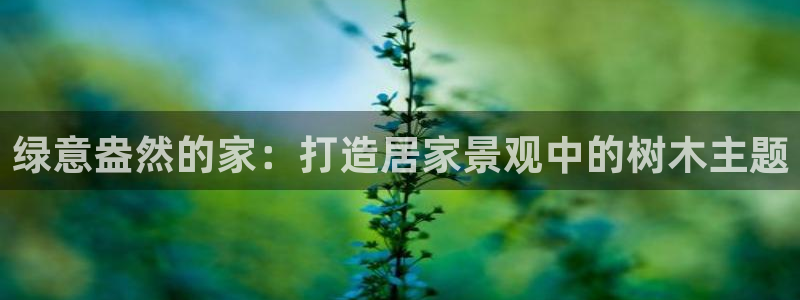 新宝gg充值
