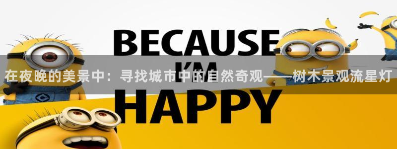 新宝gg挂机app