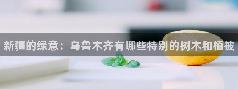 新宝GG—创造奇迹
