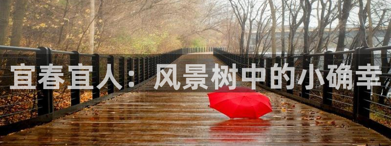 新宝gg推荐