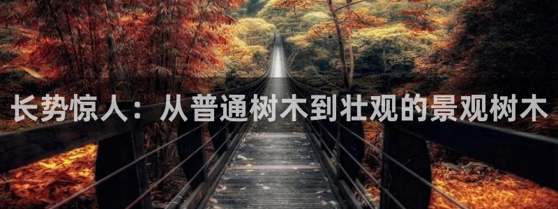新宝给gg：长势惊人：从普通树木到壮观的景观树木