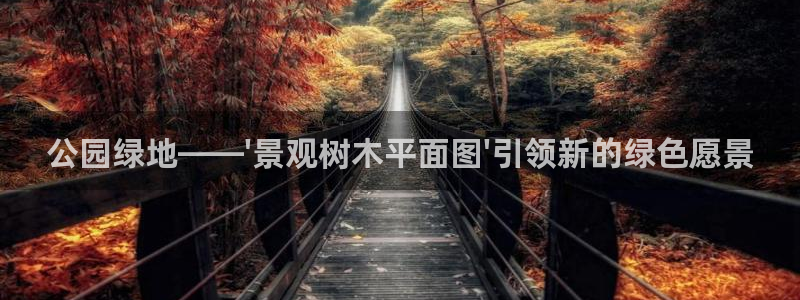 新宝gg为什么没人管