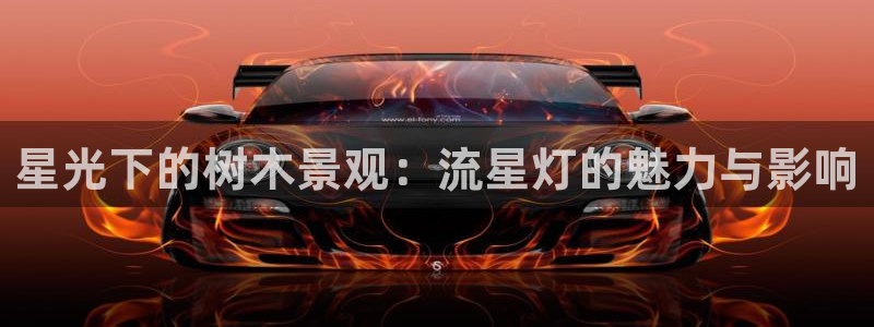 新宝gg如何登录：星光下的树木景观：流星灯的魅力与影响