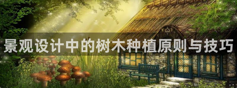 www.新宝gg