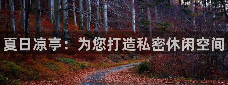 新宝gg在哪开户