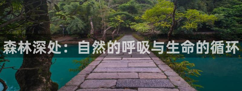 新宝gg 黑：森林深处：自然的呼吸与生命的循环