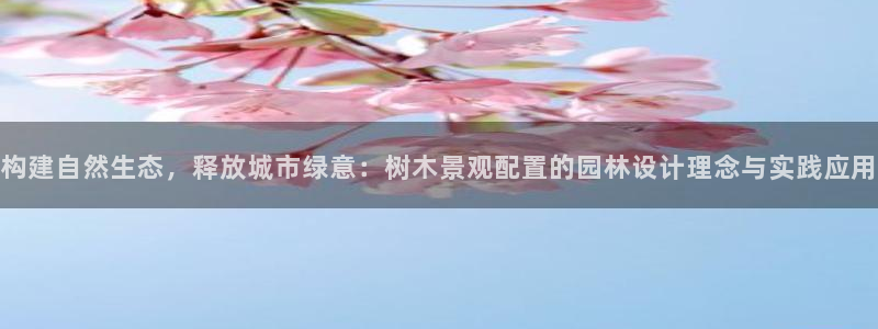 新宝 gg最新