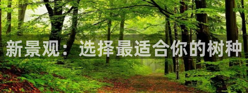 新宝gg创造奇迹下载