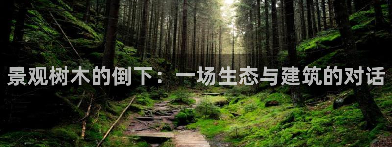 新宝gg开