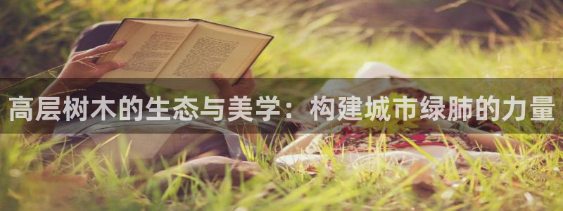 谁有新宝GG