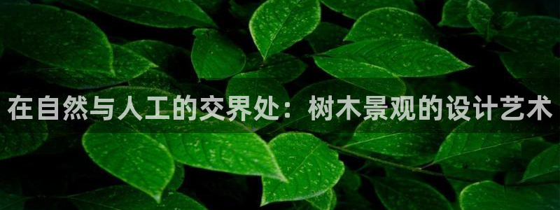 新宝gg创造奇迹 新宝gg