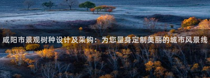 新宝gg为什么没人管