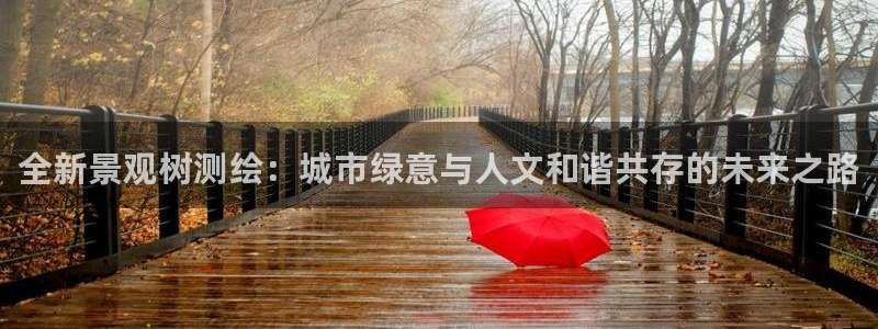 新宝gg信息