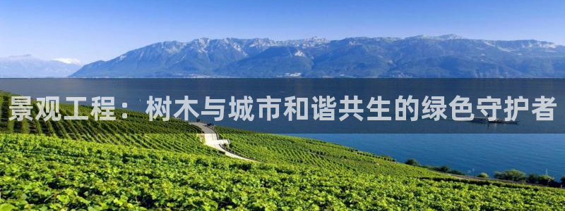 新宝gg用哪个浏览器