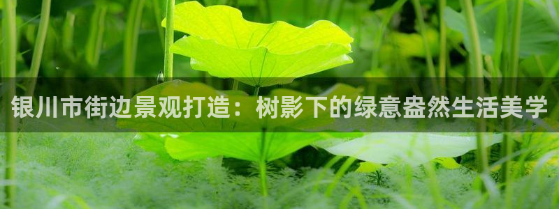 新宝gg工资