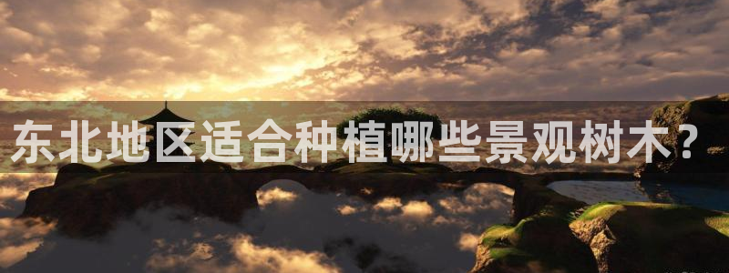 分分新宝gg