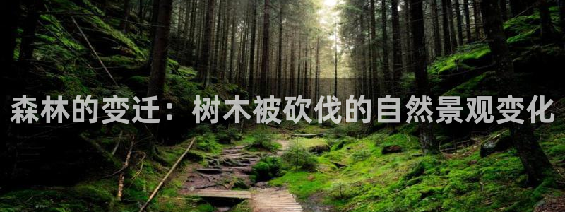 新宝gg如何代理
