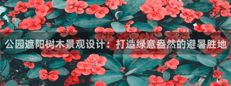 新宝创造Gg