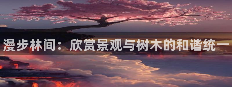 新宝gg注销