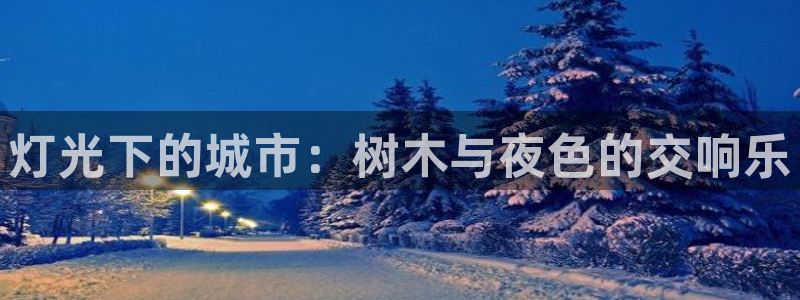 怎么下载新宝gg