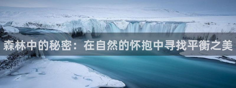 新宝g新宝gg：森林中的秘密：在自然的怀抱中寻找平衡之美