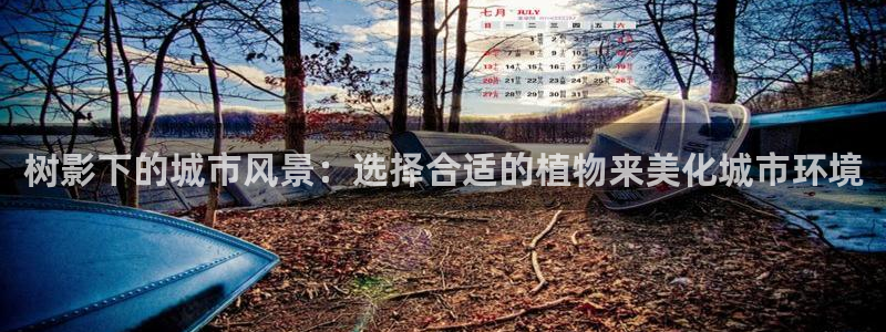 新宝gg 198：树影下的城市风景：选择合适的植物来美化城市环境