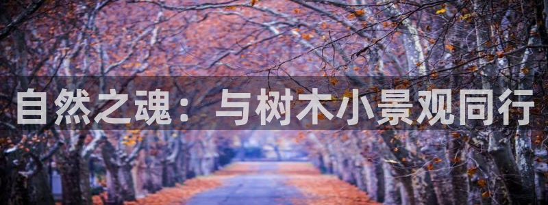 新宝 gg 总代理