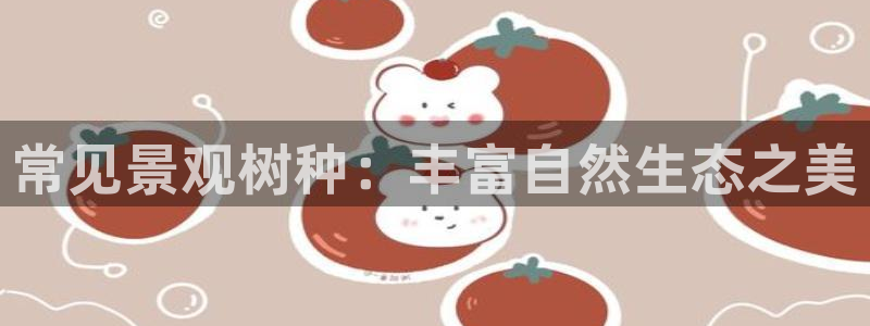 新宝gg-创业奇迹