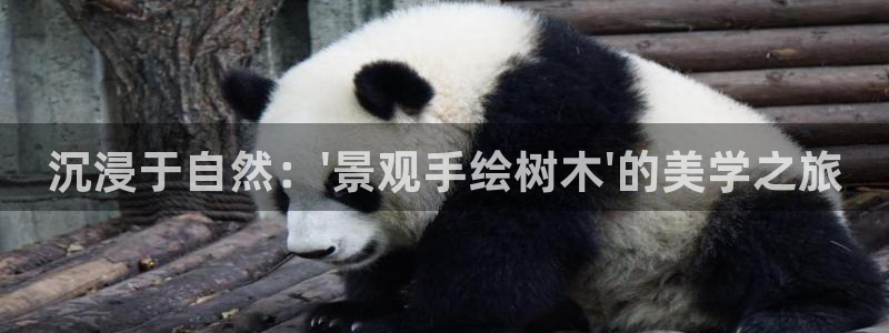 怎么下载新宝gg