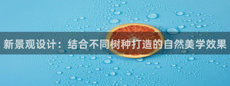 新宝gg盈亏