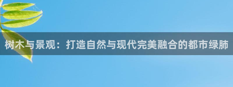 c新宝GG