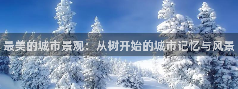 新宝gg主管都是谁